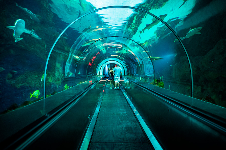 CBX-Alianza-Seaworld