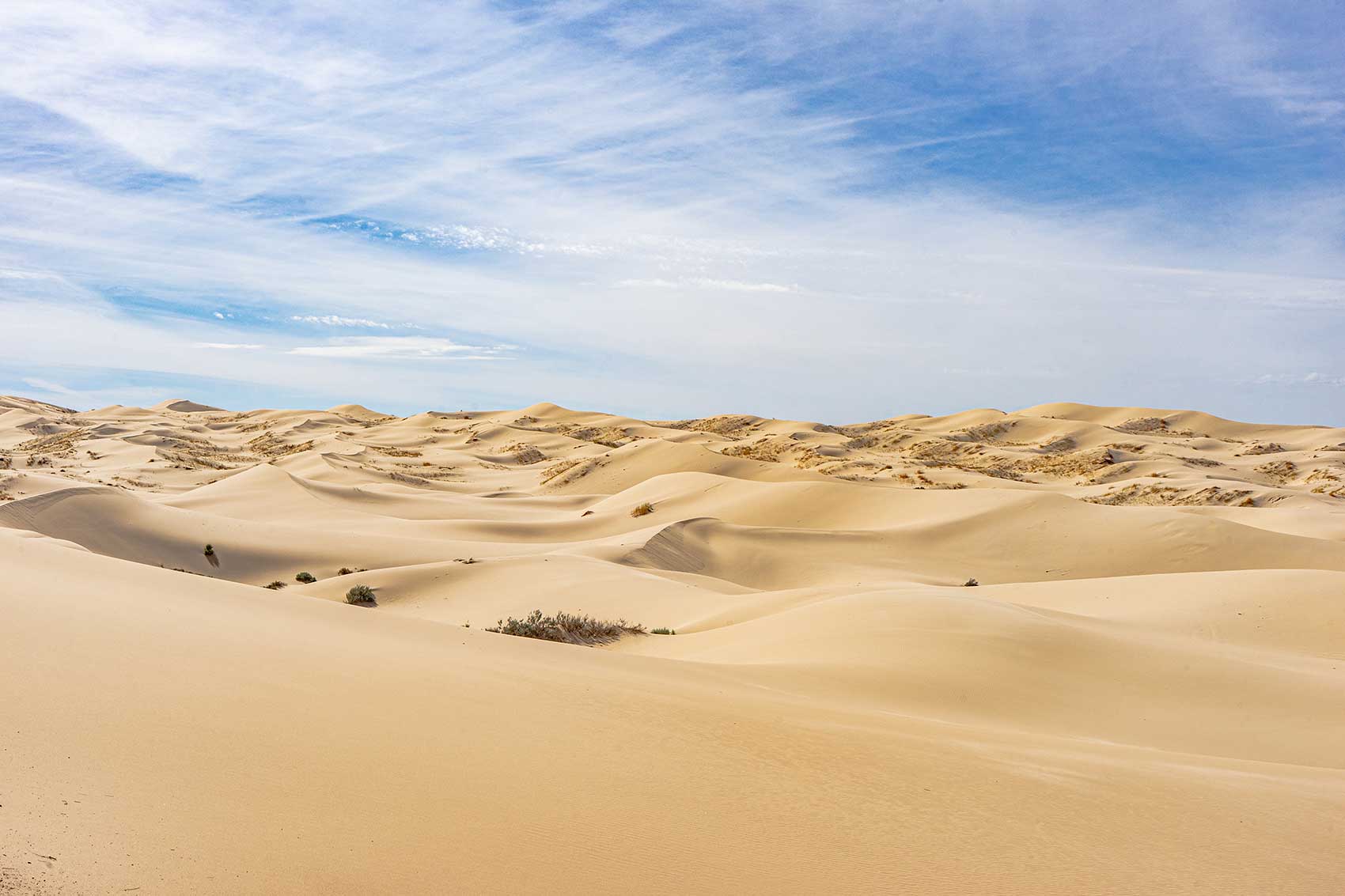 Baja-Chuhuahua-Dia-del-Padre