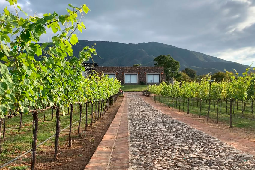 Viedo-Escondido-Chapala