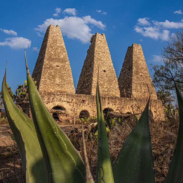 Mineral-de-Pozos