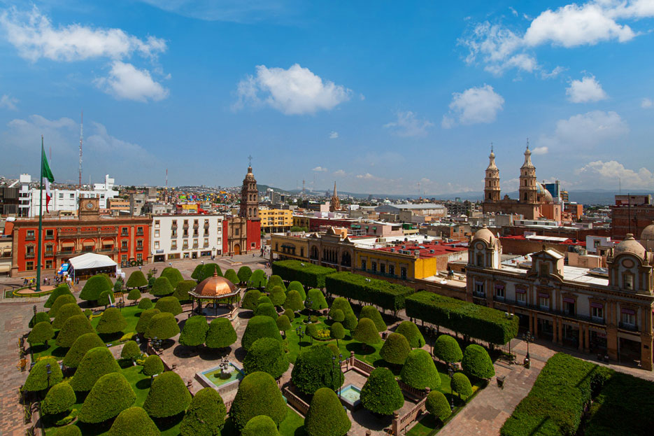 Leon-Celebración-Fiestas-Patrias