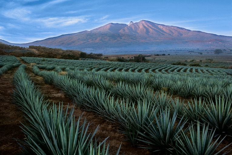 Ruta-del-Tequila-Jalisco