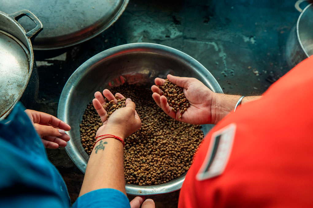 Panama-World-of-Coffee