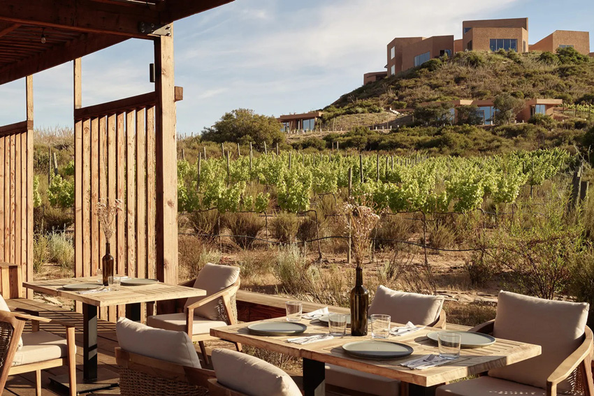 Hoteles-Boutique-Valle-de-Guadalupe