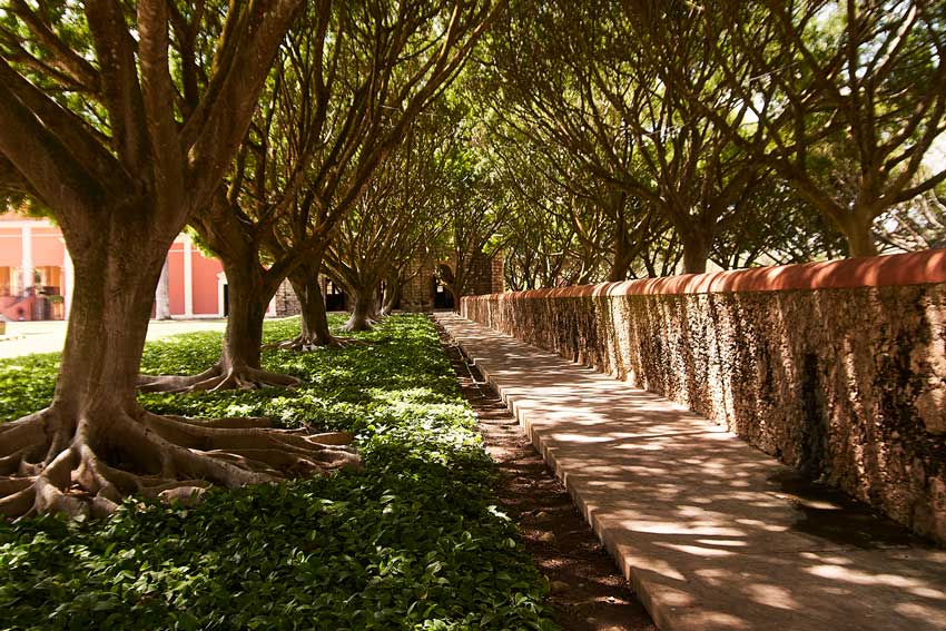 Hacienda-Xtepen-Yucatan