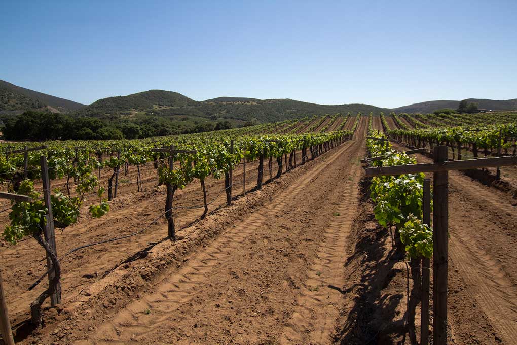 Tijuana-Baja-California