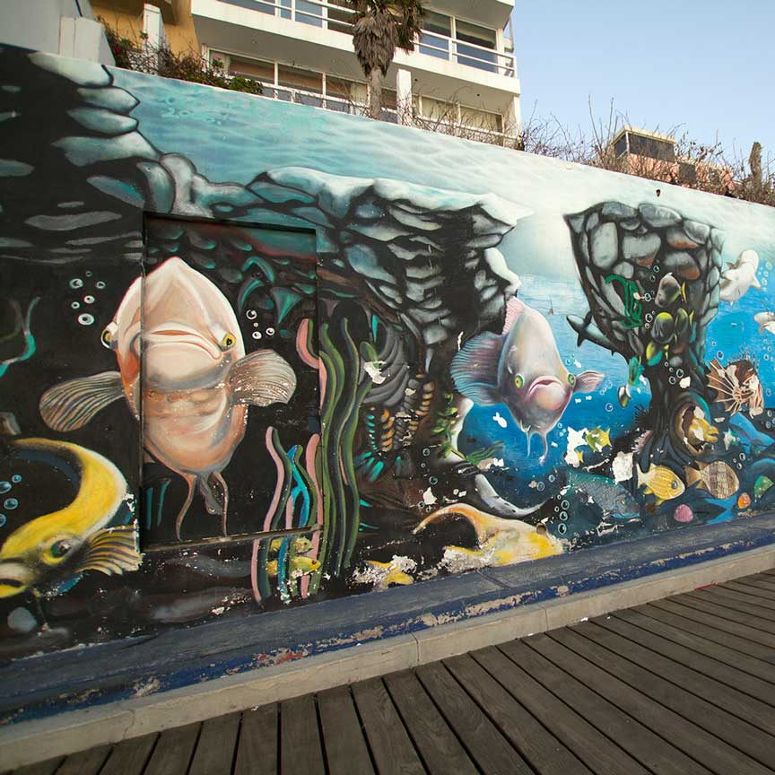 Tijuana-Baja-California