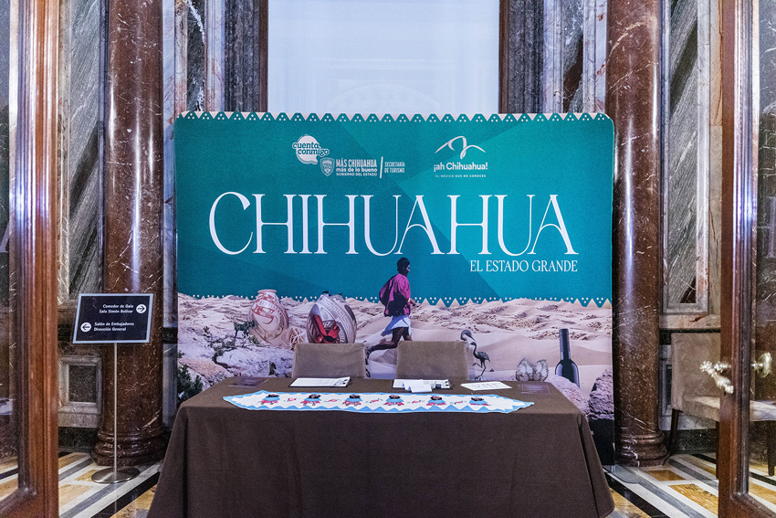Chihuahua-Campaña-Mundial