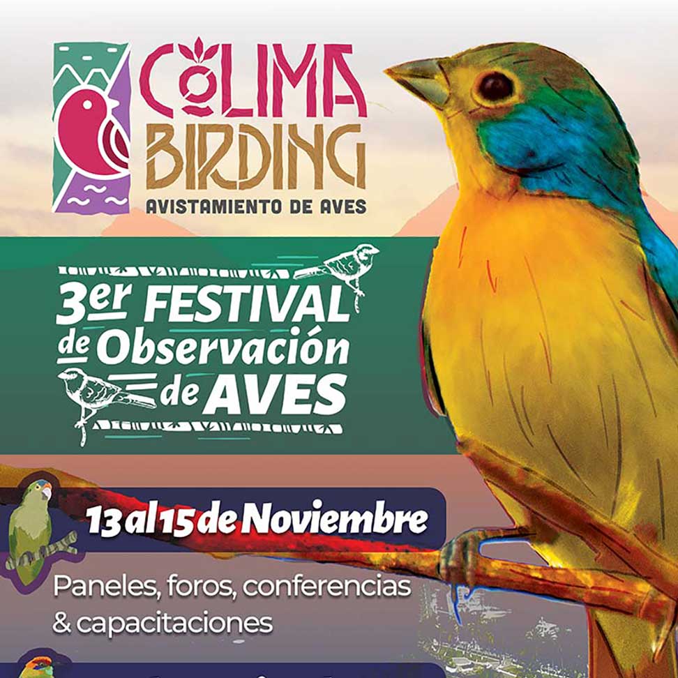 Colima-Birding-2024