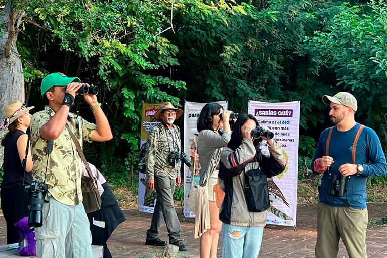 Colima-Birding-2026