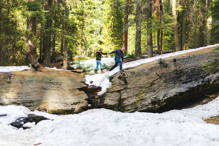 California-en-Invierno