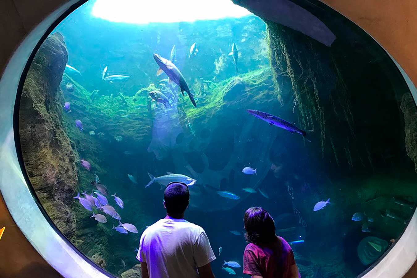 Industria-de-Reuniones-Pleno-crecimiento